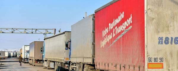 Кыргыз-казак чек арасында кезекте турган фуралар. Архив - Sputnik Кыргызстан