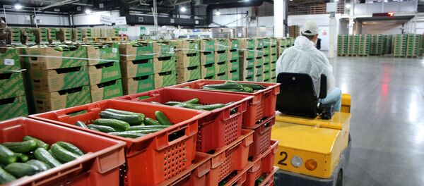 Логистикалык борбор. Архив Логистикалык борбор. Архив - Sputnik Кыргызстан