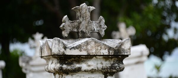 Парк Юньон Эстэйт на острове Ла Диг Парк Юньон Эстэйт на острове Ла Диг - Sputnik Кыргызстан