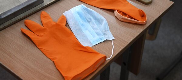 В школах Забайкалья прекращены занятия после выявления в регионе коронавируса - Sputnik Кыргызстан