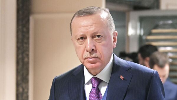 Түркиянын президенти Режеп Тайип Эрдоган. Архив - Sputnik Кыргызстан