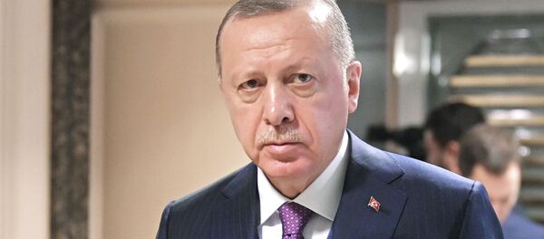 Түркиянын президенти Режеп Тайип Эрдоган. Архив - Sputnik Кыргызстан