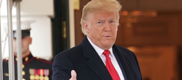 АКШ президенти Дональд Трамп. Архив - Sputnik Кыргызстан