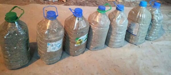 Изъятие свыше 10 килограммов наркотиков в Иссык-Кульской области - Sputnik Кыргызстан