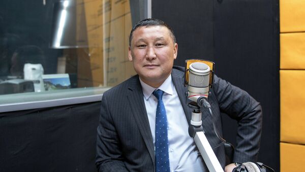 Начальник управления по поддержке семьи и детей и государственных выплат Минсоцразвития Самаган Асанов - Sputnik Кыргызстан