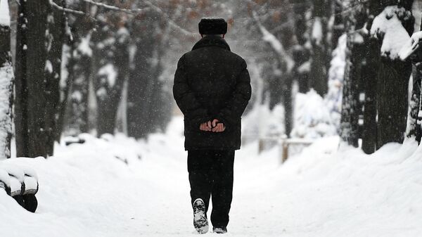 Мужчина идет по скверу во время снегопада. Архивное фото - Sputnik Кыргызстан