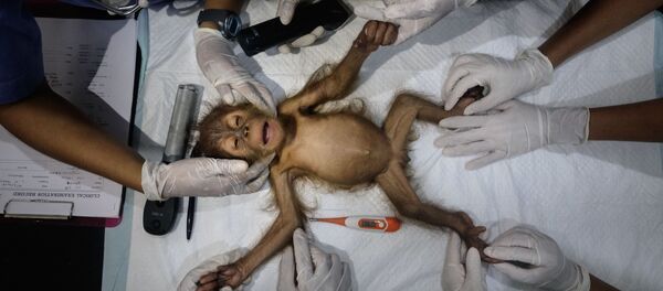 Снимок Saving Orangutans фотографа Alain Schroeder, ставший финалистом конкурса 162nd International Photography Exhibition - Sputnik Кыргызстан