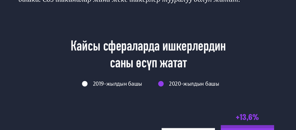 Кыргызстандагы ишканалар кантип ачылып-жабылган Кыргызстандагы ишканалар кантип ачылып-жабылган - Sputnik Кыргызстан