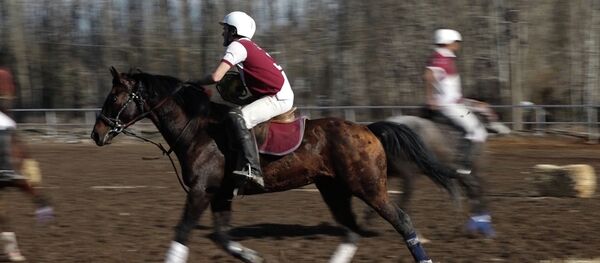 Как под Бишкеком французы и канадцы играли в хорсбол — видео - Sputnik Кыргызстан