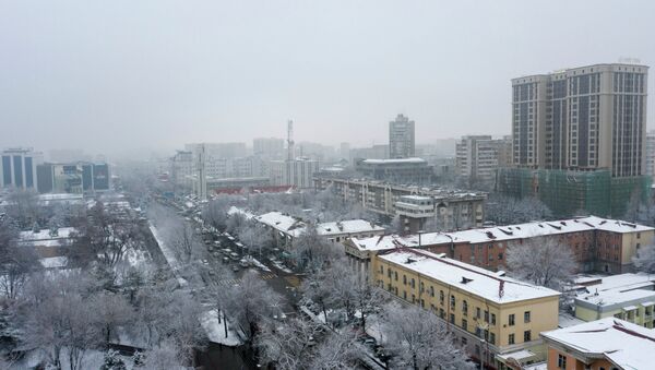 Вид на улицу Чуй в городе Бишкек с высоты после снегопада - Sputnik Кыргызстан