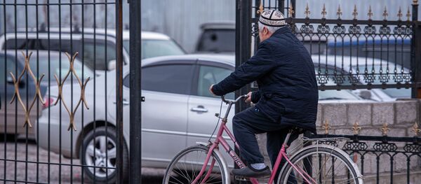 Киши шаарда велосипед тээп бара жарат. Архив - Sputnik Кыргызстан