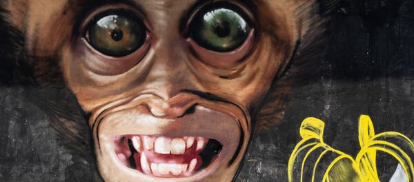 Снимок Monkey grafitti из серии Monkey city профессионального испанского фотографа Joan de la Malla, вошедший в шорт-лист конкурса 2020 Sony World Photography Awards в категории Natural World & Wildlife - Sputnik Кыргызстан