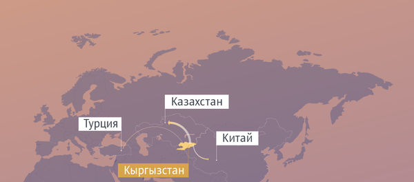 Сколько концентрата вывезли из Кыргызстана в 2019 году Сколько концентрата вывезли из Кыргызстана в 2019 году - Sputnik Кыргызстан