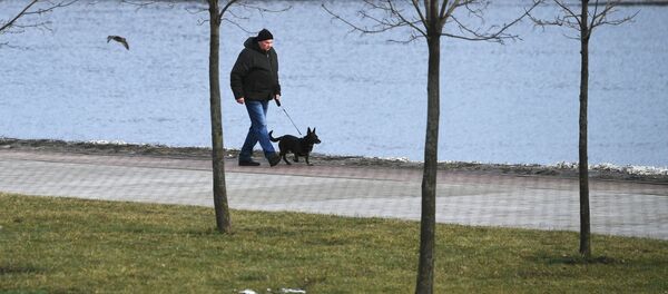 Теплая погода в Москве Теплая погода в Москве - Sputnik Кыргызстан