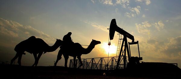 Мужчина едет на верблюде по пустынному нефтяному месторождению. Архивное фото Мужчина едет на верблюде по пустынному нефтяному месторождению. Архивное фото - Sputnik Кыргызстан