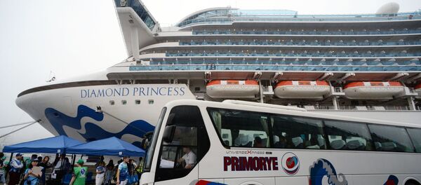 Diamond Princess круиздик лайнери. Архив - Sputnik Кыргызстан