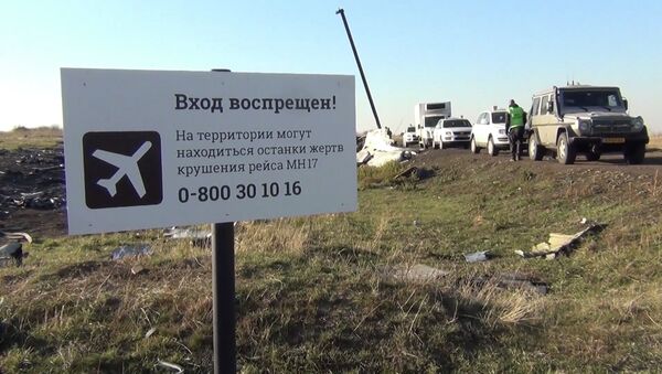 Кулаган MH17 учагынын иши боюнча интернетте жаңы документтер пайда болду - Sputnik Кыргызстан