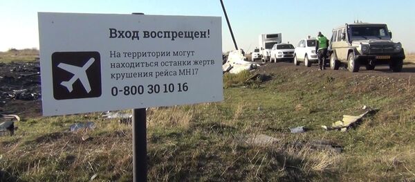 Кулаган MH17 учагынын иши боюнча интернетте жаңы документтер пайда болду Кулаган MH17 учагынын иши боюнча интернетте жаңы документтер пайда болду - Sputnik Кыргызстан