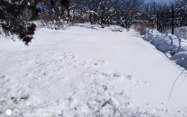 В Чолпон-Ате выпали обильные осадки — высота снежного покрова около 60 сантиметров - Sputnik Кыргызстан