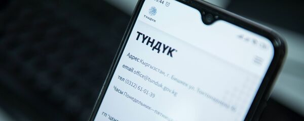 Система межведомственного электронного взаимодействия Тундук - Sputnik Кыргызстан
