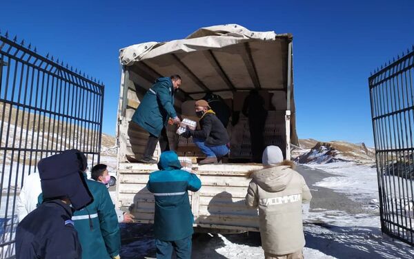 Соседняя страна попросила антисептические и дезинфицирующие средства, медицинские средства индивидуальной защиты - Sputnik Кыргызстан