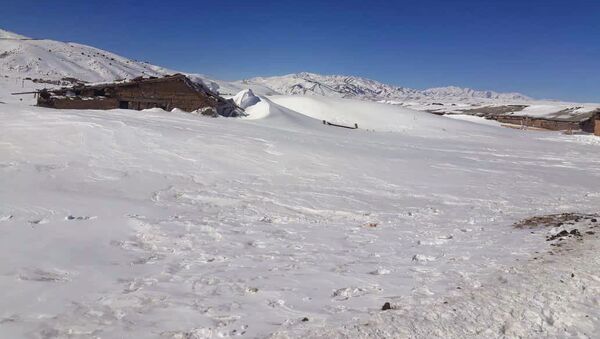 Последствия обильного снегопада в селе Каркыра Иссык-Кульской области - Sputnik Кыргызстан