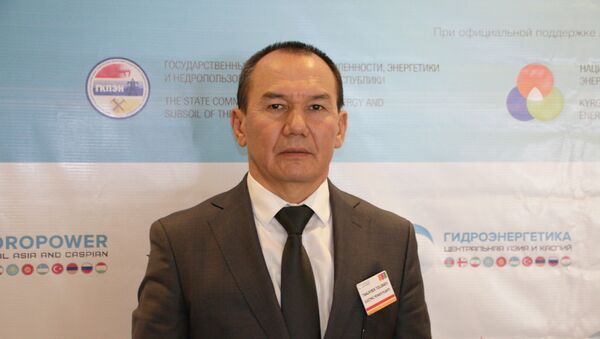 Электр станциялары ААКнын башкы директору Таалайбек Толубаев - Sputnik Кыргызстан