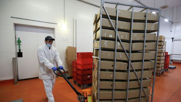 Работник комбината перевозит коробки с продукцией. Архивное фото - Sputnik Кыргызстан