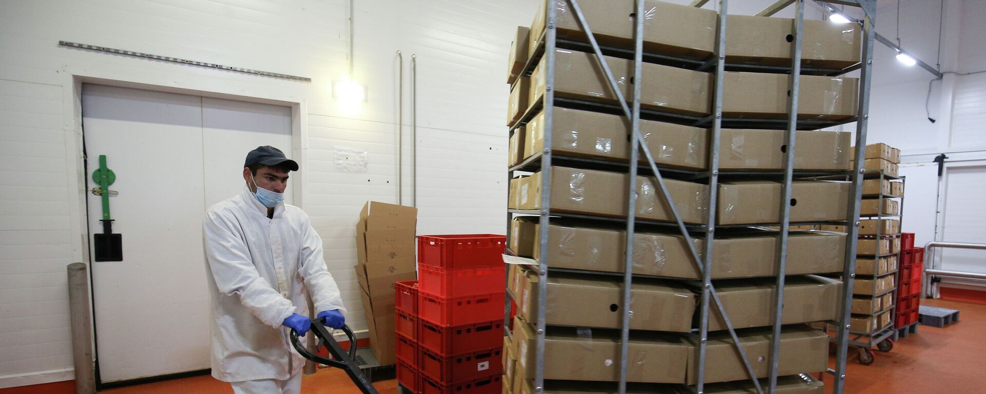 Работник склада перевозит коробки с готовой продукцией. Архивное фото - Sputnik Кыргызстан, 1920, 22.11.2023