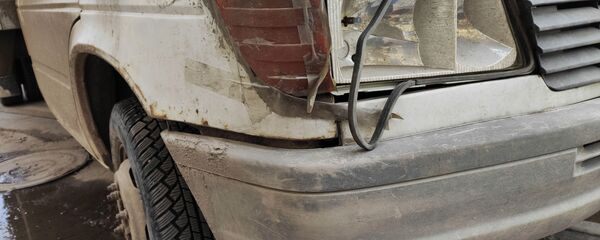 Жол кырсыктан кийинки бусик. Архив - Sputnik Кыргызстан