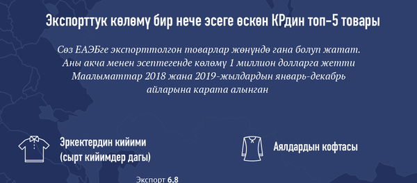 ЕАЭБге мүчө болгон Кыргызстан 2019-жылы эмнеге жетишти - Sputnik Кыргызстан