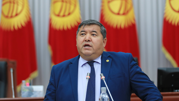 Замминистра сельского хозяйства КР Жаныбек Керималиев - Sputnik Кыргызстан