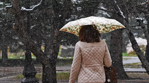 Женщина идет с зонтом во время снегопада. Архивное фото  - Sputnik Кыргызстан