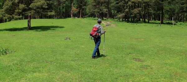 Турист идет по лугу. Архивное фото - Sputnik Кыргызстан