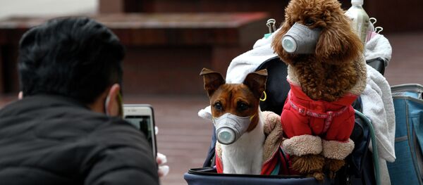 Ситуация в Шанхае в связи с эпидемией коронавируса - Sputnik Кыргызстан