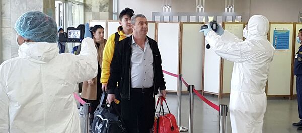 Чет өлкөдөн келген жүргүнчүлөрдү текшерүү. Архив - Sputnik Кыргызстан