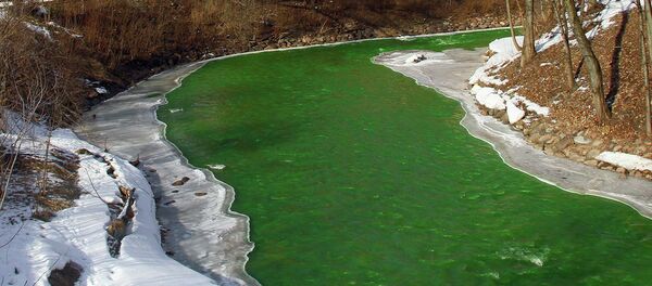 Жашыл боёк болгон дарыясы. Архив - Sputnik Кыргызстан