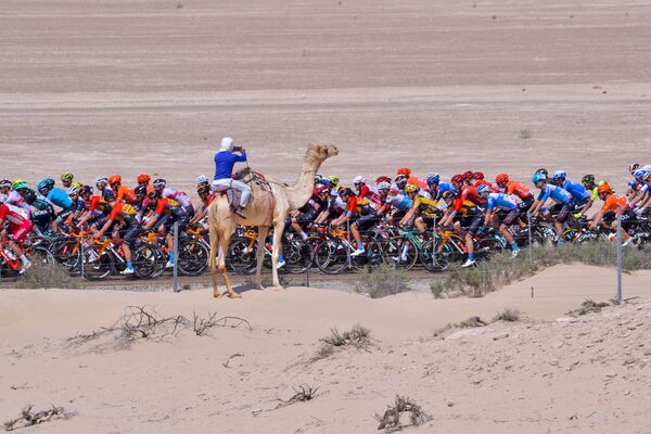 Велогонка Тур Объединенных Арабских Эмиратов - Sputnik Кыргызстан