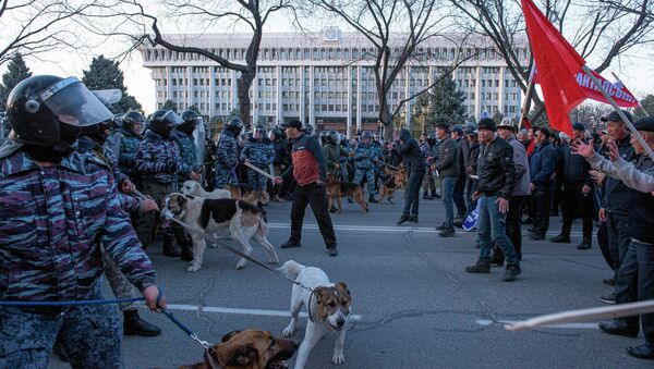 Сотрудники правоохранительных органов с собаками во время силового разгона сторонников Садыра Жапарова на площади Ала-Тоо в Бишкеке - Sputnik Кыргызстан