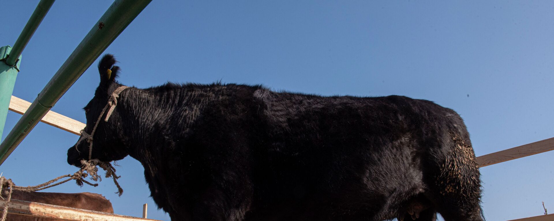 Республиканский семинар-выставка в селе Красная Речка Ысык-Атинского района  - Sputnik Кыргызстан, 1920, 02.01.2026