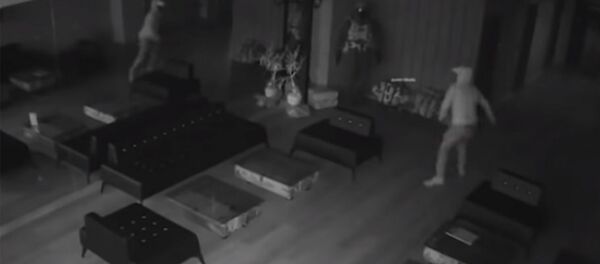 Вор сбежал с места ограбления, испугавшись своего отражения — видео - Sputnik Кыргызстан