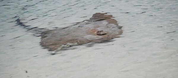 Мальдивские острова Мальдивские острова - Sputnik Кыргызстан