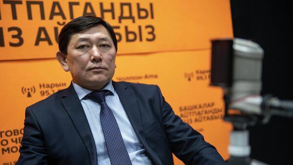 Экономика министринин орун басары Автандил Алыбаев - Sputnik Кыргызстан