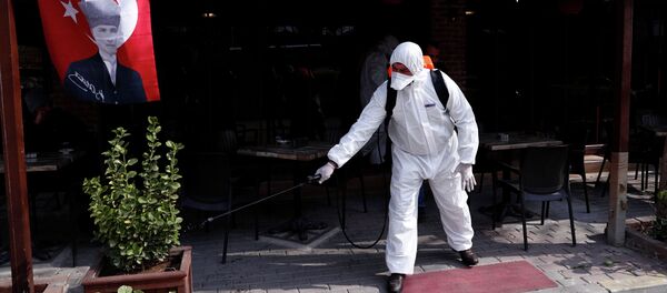 Работник муниципалитета в защитном костюме дезинфицирует кофейню возле пограничного перехода Пазаркуле в Турции с греческими Кастансами - Sputnik Кыргызстан
