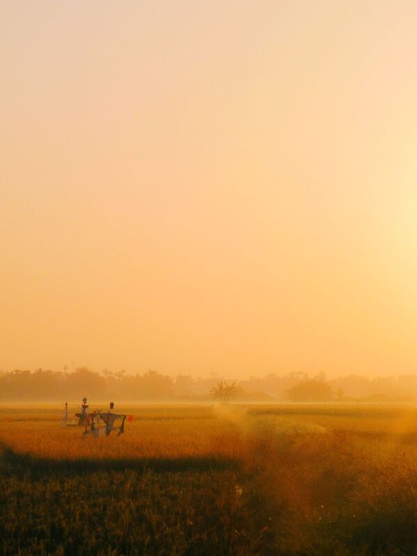 Снимок Новый рассвет, новый день вьетнамского фотографа Phong Le - Sputnik Кыргызстан