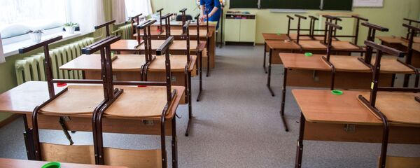 Мектептеги карантин жарыяланган. Архив - Sputnik Кыргызстан