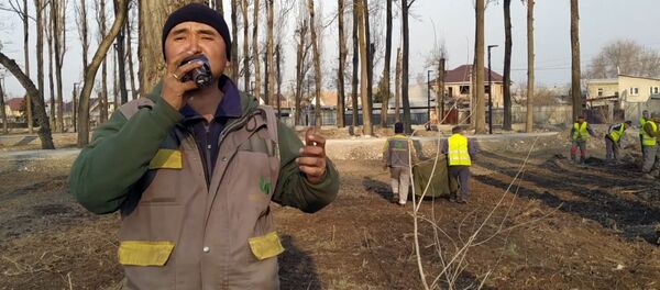 Сотрудник Зеленхоза спел для коллег, сажающих деревья в новом парке. Видео - Sputnik Кыргызстан