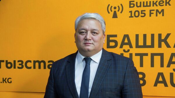 Доктор экономических наук, профессор Толонбек Абдыров - Sputnik Кыргызстан