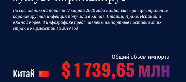 Какие товары поставляются в Кыргызстан из стран, где бушует коронавирус Какие товары поставляются в Кыргызстан из стран, где бушует коронавирус - Sputnik Кыргызстан