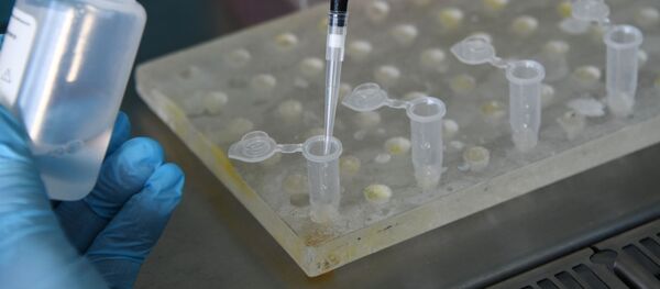 В Забайкалье поступила тест-система для определения антигена коронавируса В Забайкалье поступила тест-система для определения антигена коронавируса - Sputnik Кыргызстан